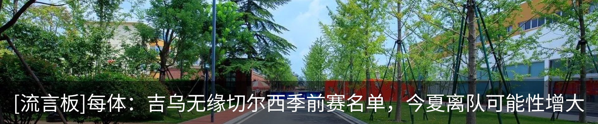 新闻动态